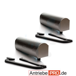 Set Drehtorantrieb FAAC 390/2 (230 V)