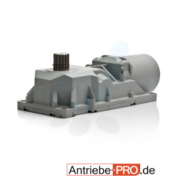 Set Unterflurantrieb FAAC 770 24V/1 